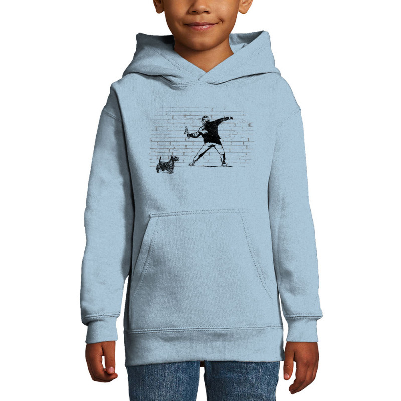 Sweat enfant à capuche bleu ciel Banksy Vas chercher (Gondrax,Animaux,Humour)