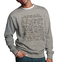 Sweat homme col rond gris chiné The Answer to Life 42 (Le Duc,Jeux Vidéo / Geek)