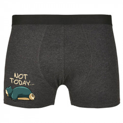 Caleçon boxer homme gris anthracite Not Today (Le Duc,Animaux,Humour,Chats,Manga Kawaï japan)