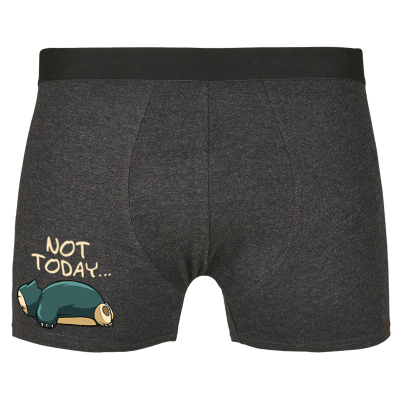 Caleçon boxer homme gris anthracite Not Today (Le Duc,Animaux,Humour,Chats,Manga Kawaï japan)