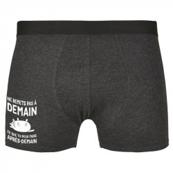 Caleçon boxer homme gris anthracite Ne remets pas à demain (Alex Kidd,Humour,Slogans Débiles,Chats,Paresse)