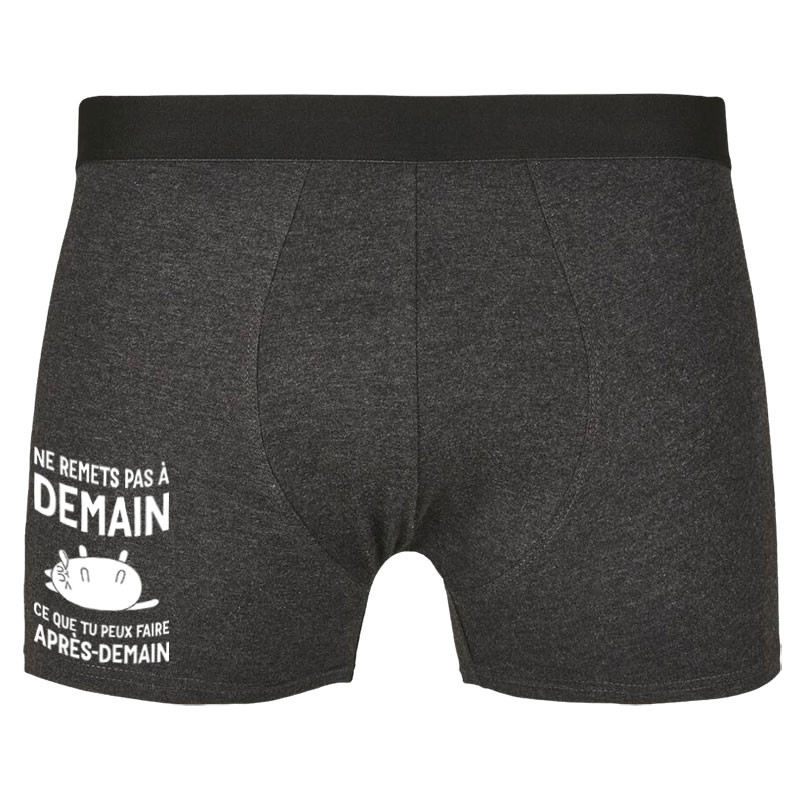 Caleçon boxer homme gris anthracite Ne remets pas à demain (Alex Kidd,Humour,Slogans Débiles,Chats,Paresse)