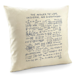 Coussin naturel The Answer to Life 42 (Le Duc,Jeux Vidéo / Geek)