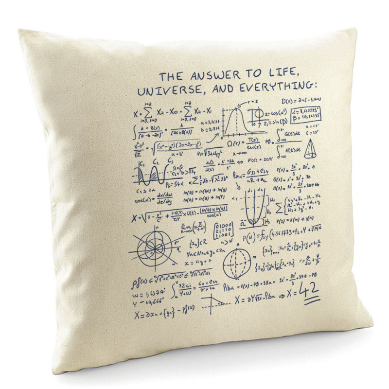 Coussin naturel The Answer to Life 42 (Le Duc,Jeux Vidéo / Geek)