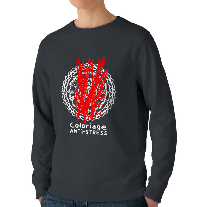 Sweat homme bio col rond gris anthracite Coloriage anti-stress (Zewa,Humour)