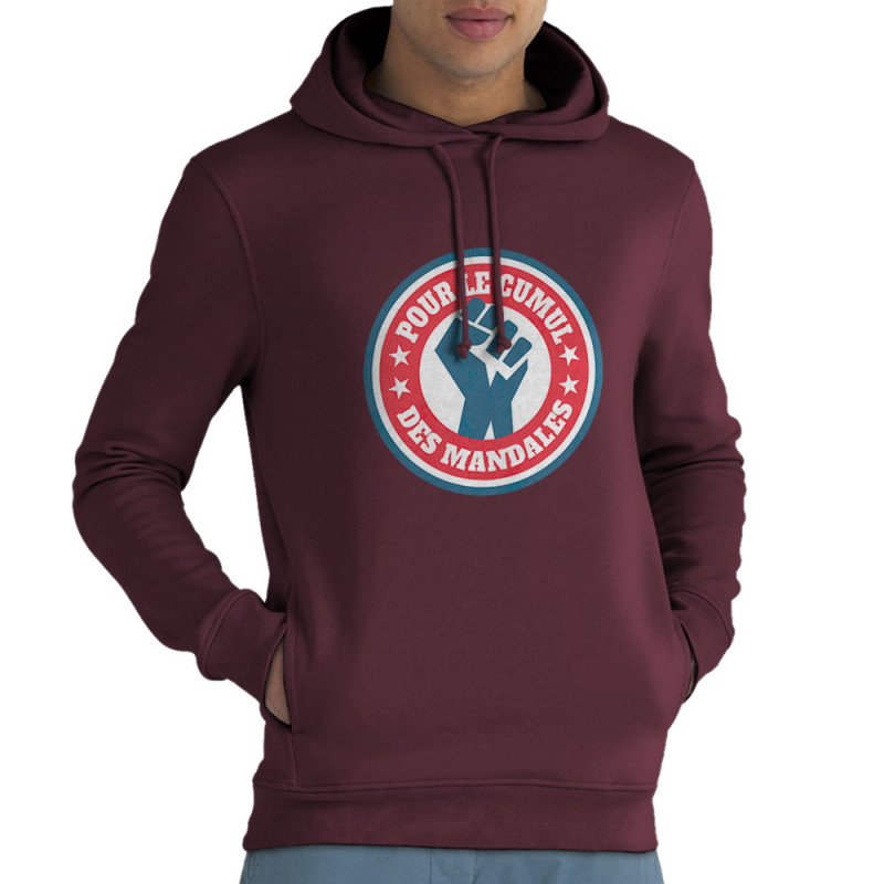 Sweat homme à capuche coton bio bordeaux Le cumul des mandales (Andy,Humour,Slogans Débiles)