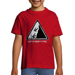 T-shirt enfant rouge Chutes de Pierre et de Paul (Gondrax,Humour)