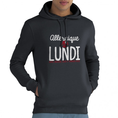 Sweat homme à capuche coton bio gris anthracite Allergique au lundi (Ptit Mytho,Humour)