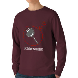 Sweat homme bio col rond bordeaux Entourloupe (Zewa,Humour)