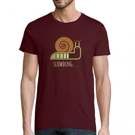 T-shirt homme coton bio...