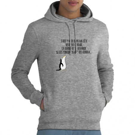Sweat homme à capuche coton...