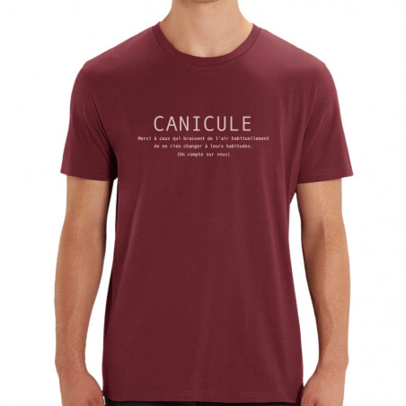 T-shirt homme coton bio...