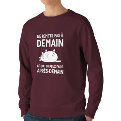 Sweat homme bio col rond bordeaux Ne remets pas à demain (Alex Kidd,Humour,Slogans Débiles,Chats,Paresse)