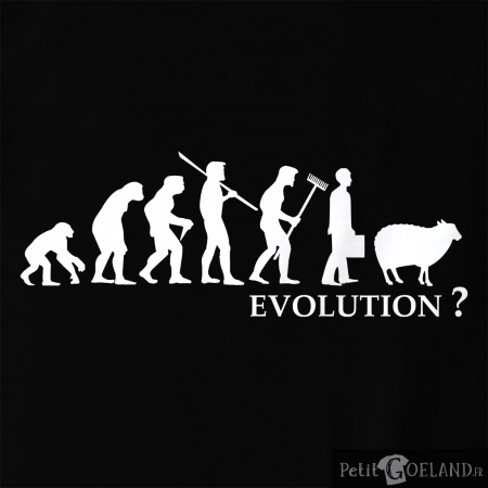 Evolution Mouton