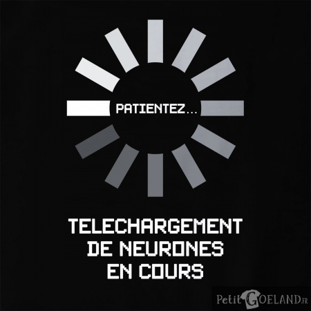 Téléchargement de neurones en cours