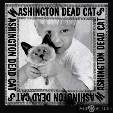 Washington Dead Cats - First EP