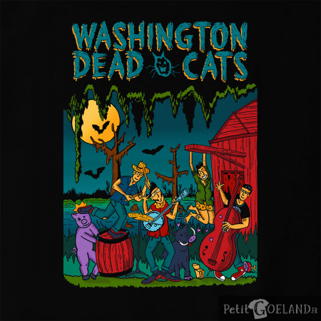 Washington Dead Cats - Acoustic