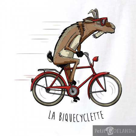La Biquecyclette