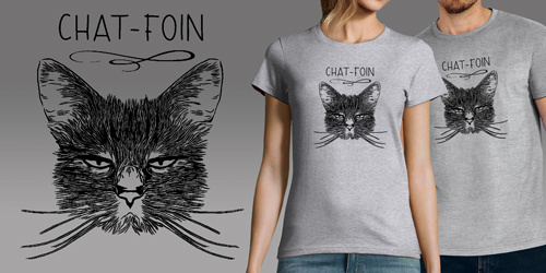 Chat-foin
