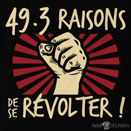 49-3 raisons de se révolter