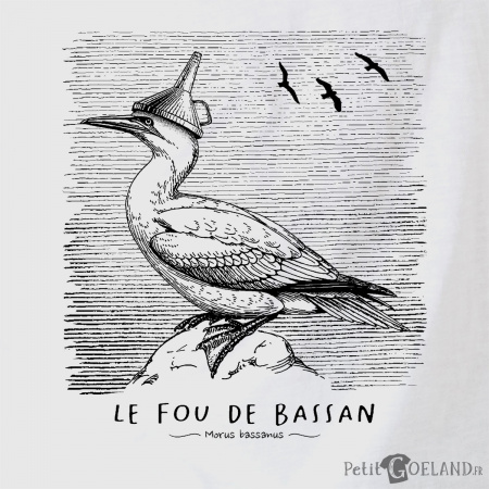 Le Fou de Bassan