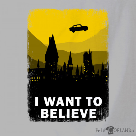 I want to believe Harry Potter