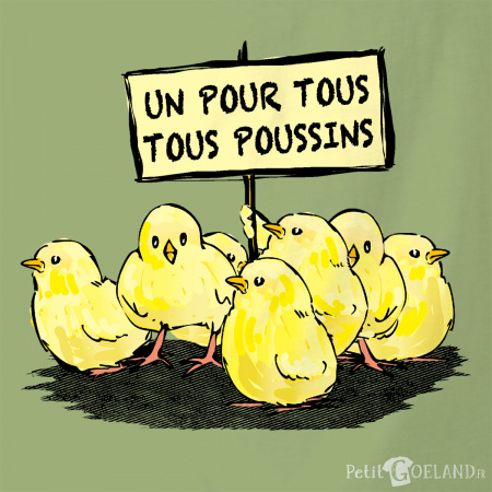 Un pour tous Tous poussins