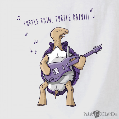 Turtle Rain