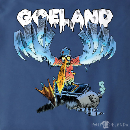 Goéland H5N1