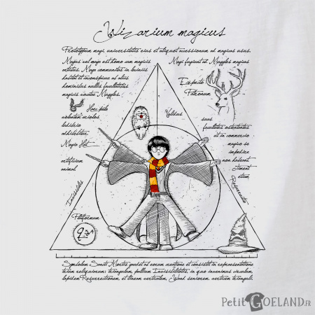 Harry Potter Vitruve