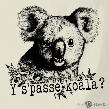 Y s'passe koala 2