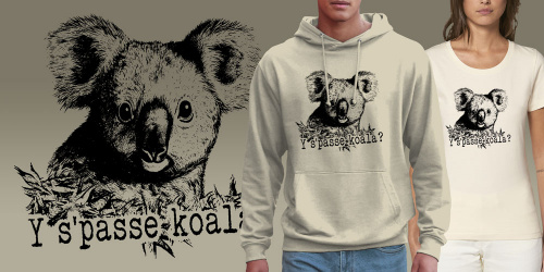 Y s'passe koala 2