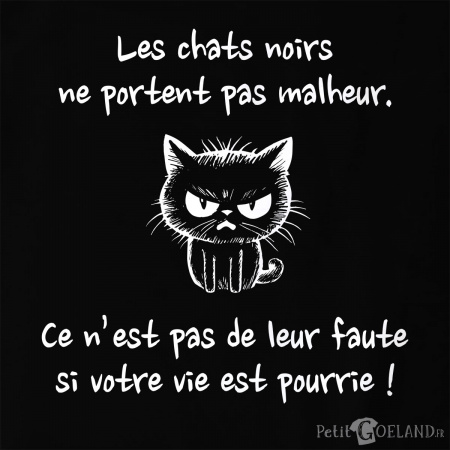 Chats noirs