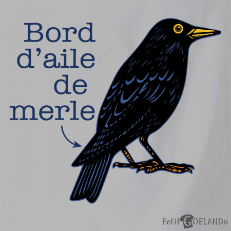 Bord d'aile de merle