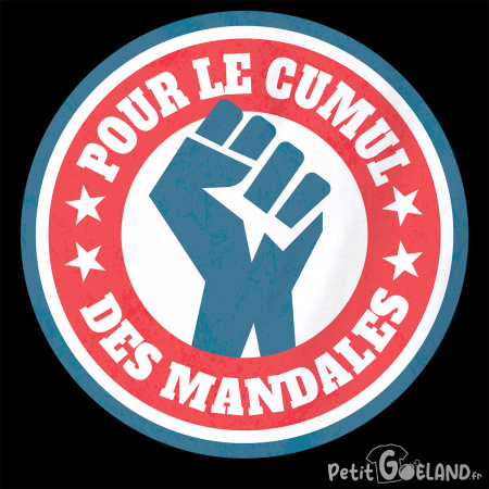 Le cumul des mandales