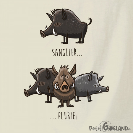 Sanglier Pluriel