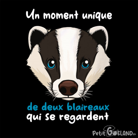 Un moment unique de deux blaireaux qui se regardent