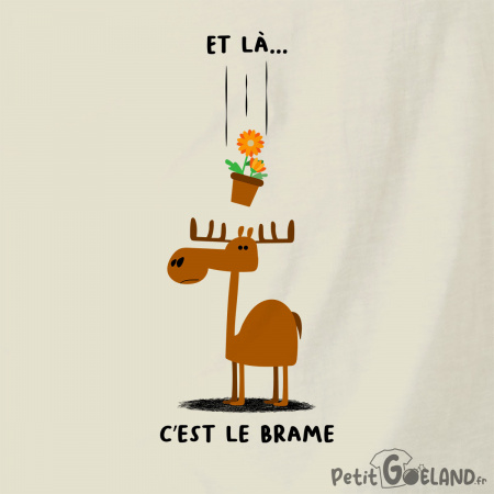 C'est le brame