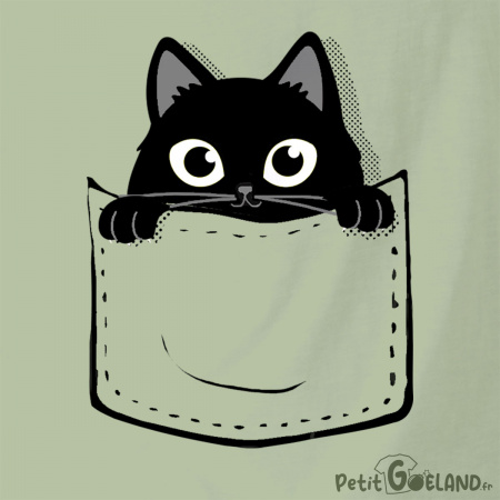 Un chat dans la poche
