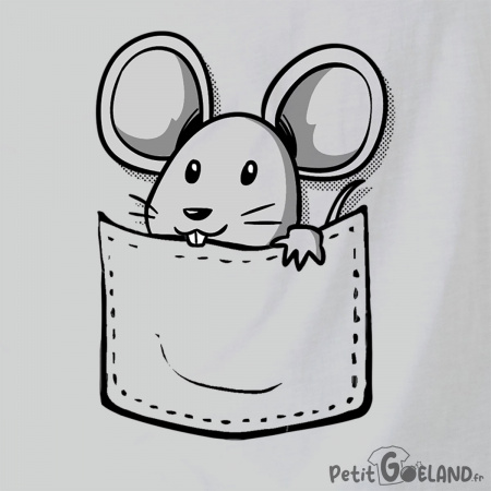 Une souris dans la poche