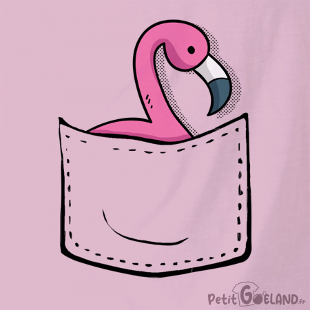 Un flamand rose dans la poche