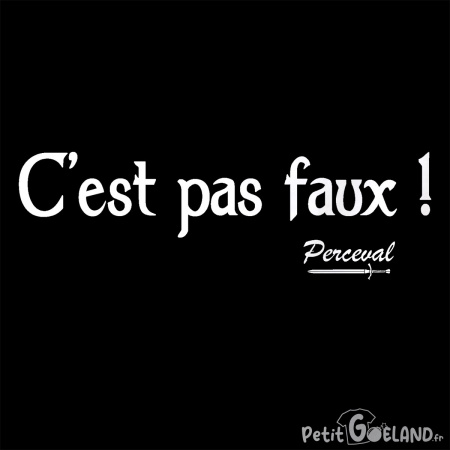 C'est pas faux 2