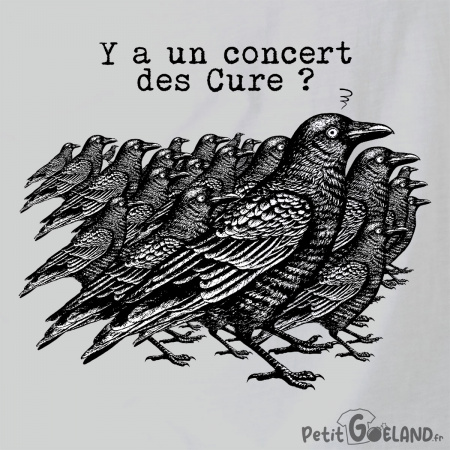 Y a un concert des Cure