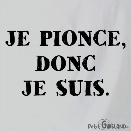 Je pionce donc je suis