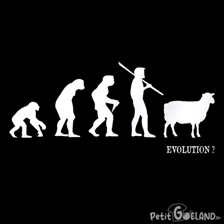 Evolution mouton 2