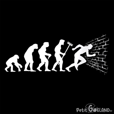 Evolution dans le mur