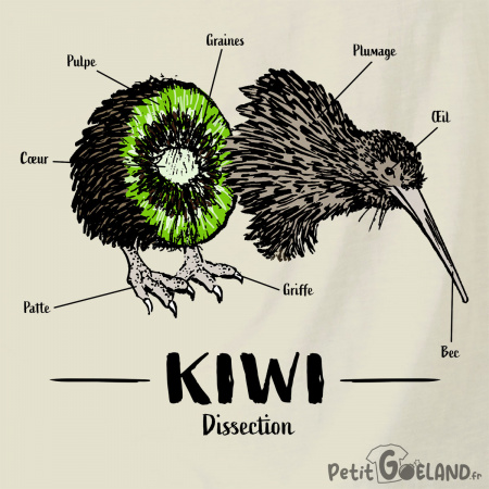 Kiwi dissection