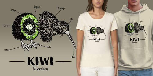 Kiwi dissection