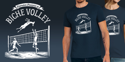 Biche Volley