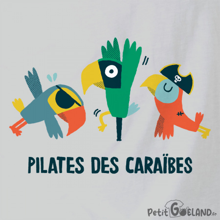 Pilates des Caraïbes 2